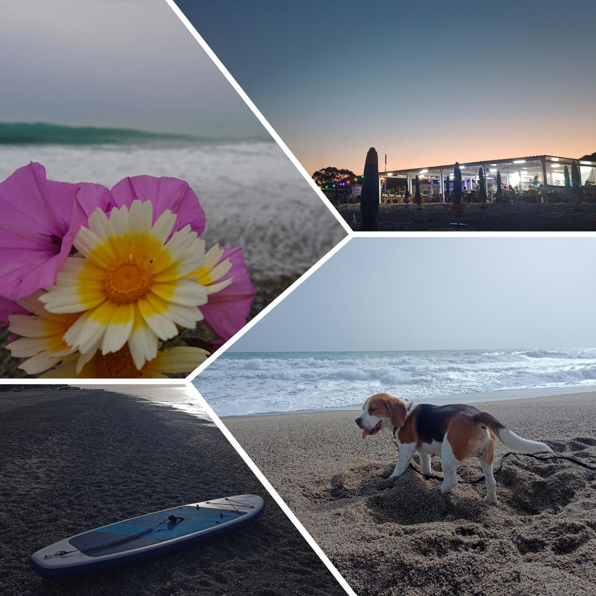 Degli Angioini Holiday Home Каулонія Марина Екстер'єр фото